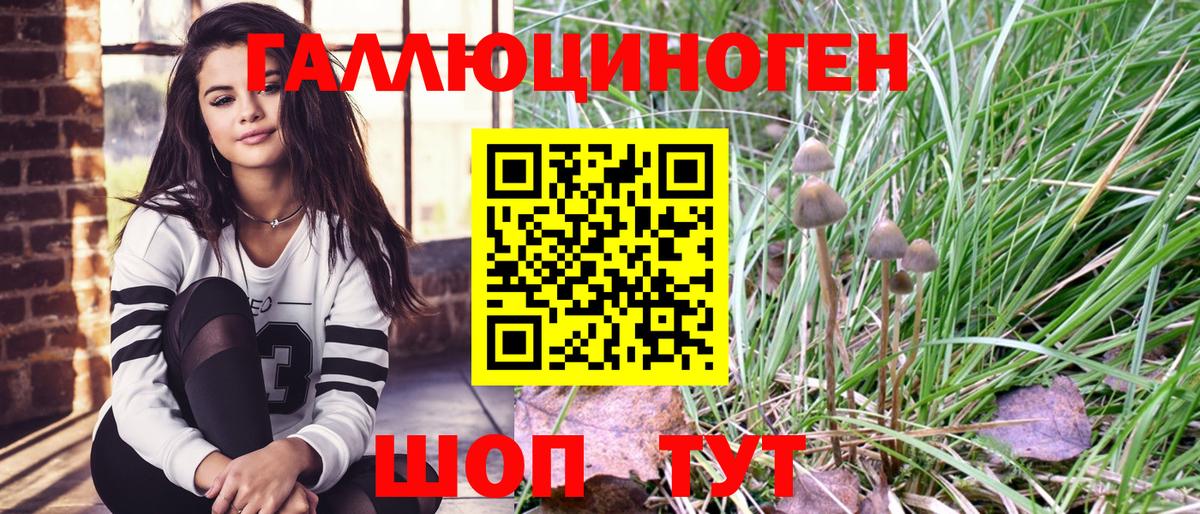 Псилоцибиновые грибы GOLDEN TEACHER Александров