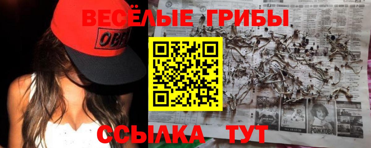 Александров  Галлюциногенные грибы Psilocybine cubensis  Вход с VPN  Псилоцибиновые грибы мицелий 