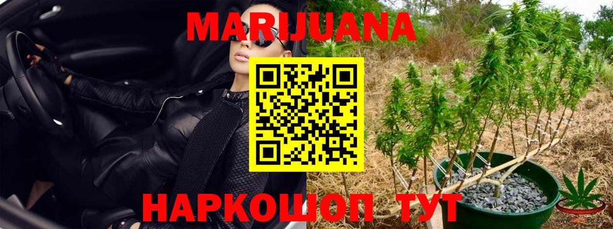 Канабис SATIVA & INDICA  Бошки марихуана конопля  Шишки марихуана OG Kush  Канабис Amnesia  Вход с VPN  Александров 